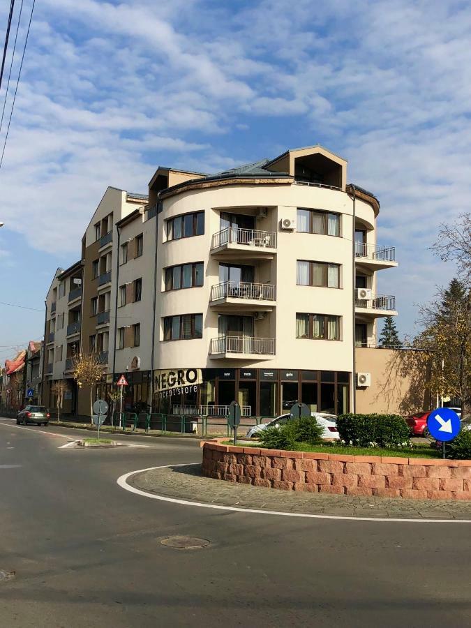 Târgu-Mureş Central Apartments المظهر الخارجي الصورة